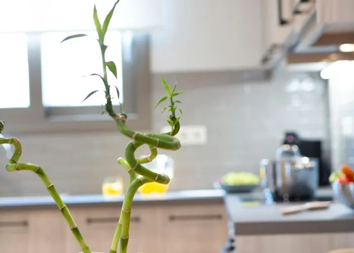 Enalion Apartment Nydri (Lefkada)